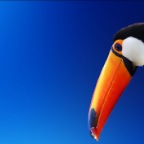 Screen shot 2011-06-09 at 19.11.13